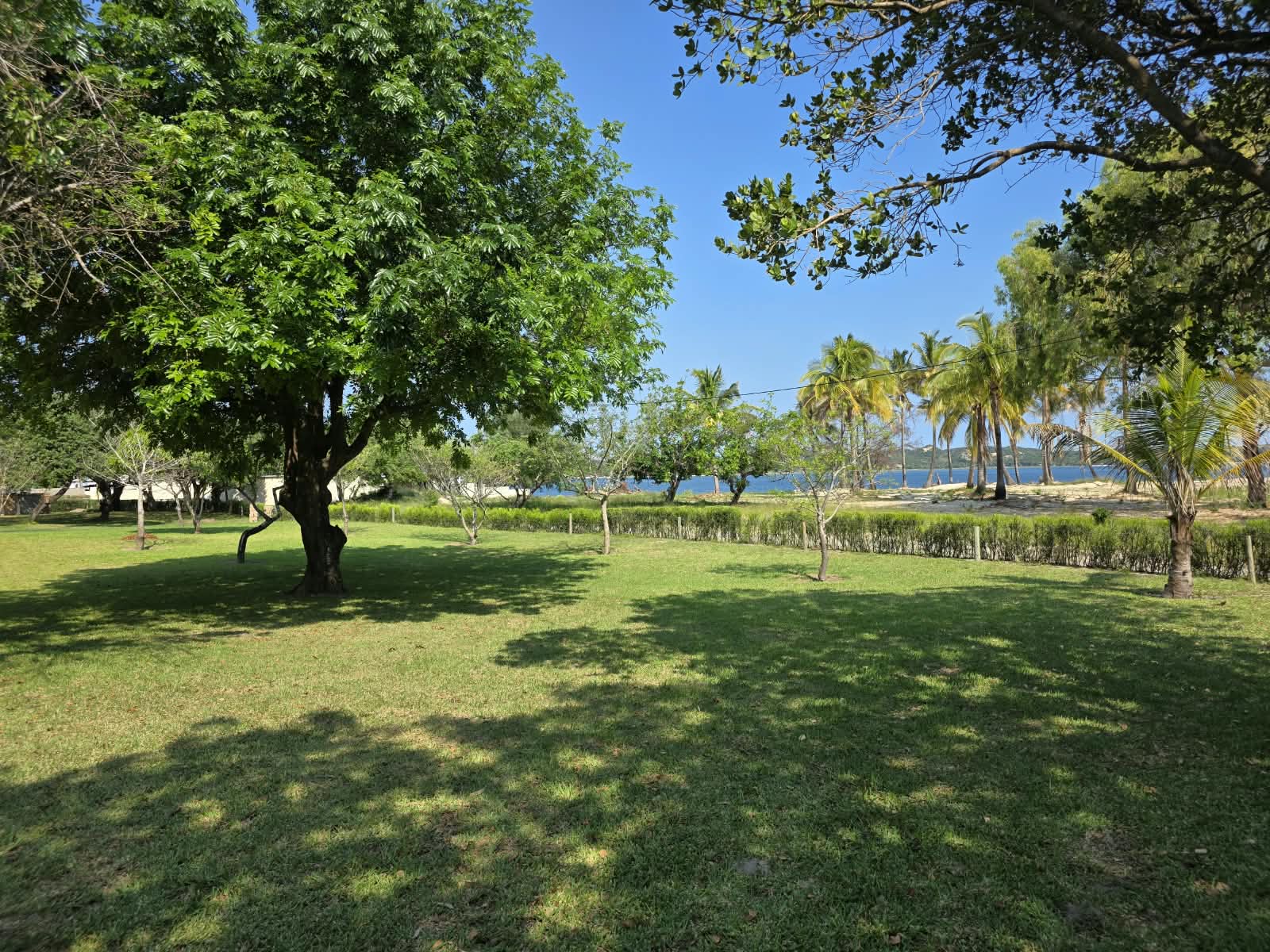 Shaded campsite with lagoon view